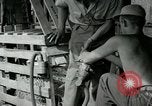 Image of B-24 Liberator bombers San Jose Island Panama, 1944, second 54 stock footage video 65675060527