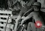Image of B-24 Liberator bombers San Jose Island Panama, 1944, second 55 stock footage video 65675060527
