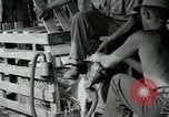 Image of B-24 Liberator bombers San Jose Island Panama, 1944, second 56 stock footage video 65675060527