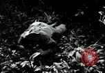 Image of United States troops San Jose Island Panama, 1944, second 9 stock footage video 65675060528