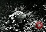 Image of United States troops San Jose Island Panama, 1944, second 10 stock footage video 65675060528