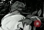 Image of United States troops San Jose Island Panama, 1944, second 16 stock footage video 65675060528