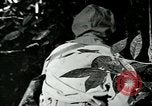 Image of United States troops San Jose Island Panama, 1944, second 17 stock footage video 65675060528