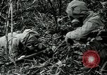 Image of United States troops San Jose Island Panama, 1944, second 20 stock footage video 65675060528
