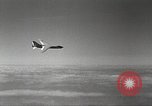 Image of F8U-2N Crusader fighter plane United States USA, 1957, second 51 stock footage video 65675060540