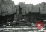 Image of polar bears Chicago Illinois USA, 1934, second 4 stock footage video 65675060546