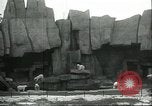 Image of polar bears Chicago Illinois USA, 1934, second 5 stock footage video 65675060546