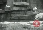 Image of polar bears Chicago Illinois USA, 1934, second 14 stock footage video 65675060546