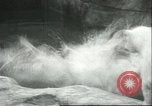 Image of polar bears Chicago Illinois USA, 1934, second 17 stock footage video 65675060546