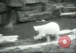 Image of polar bears Chicago Illinois USA, 1934, second 22 stock footage video 65675060546