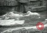 Image of polar bears Chicago Illinois USA, 1934, second 24 stock footage video 65675060546