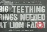 Image lions El Monte California USA, 1935, de la seconde 1 séquences d'archives historiques vidéo 65675060568