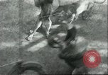 Image lions El Monte California USA, 1935, de la seconde 13 séquences d'archives historiques vidéo 65675060568