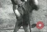 Image lions El Monte California USA, 1935, de la seconde 30 séquences d'archives historiques vidéo 65675060568