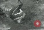 Image lions El Monte California USA, 1935, de la seconde 36 séquences d'archives historiques vidéo 65675060568