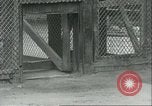 Image lions El Monte California USA, 1935, de la seconde 40 séquences d'archives historiques vidéo 65675060568