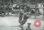 Image lions El Monte California USA, 1935, de la seconde 43 séquences d'archives historiques vidéo 65675060568