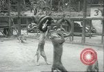 Image lions El Monte California USA, 1935, de la seconde 44 séquences d'archives historiques vidéo 65675060568