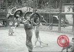 Image lions El Monte California USA, 1935, de la seconde 45 séquences d'archives historiques vidéo 65675060568