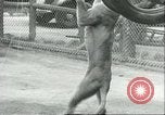 Image lions El Monte California USA, 1935, de la seconde 51 séquences d'archives historiques vidéo 65675060568