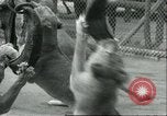Image lions El Monte California USA, 1935, de la seconde 55 séquences d'archives historiques vidéo 65675060568