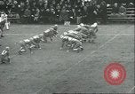 Image College Football Game New Haven Connecticut USA, 1936, de la seconde 19 séquences d'archives historiques vidéo 65675060577