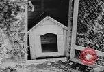 Standbild Arnstadt Konzentrationslager Espenfeld in der Nähe von Arnstadt Deutschland, 1945, aus Sekunde 41 historischem Filmmaterial Videoclip 65675060579