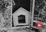 Standbild Arnstadt Konzentrationslager Espenfeld in der Nähe von Arnstadt Deutschland, 1945, aus Sekunde 42 historischem Filmmaterial Videoclip 65675060579