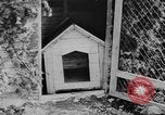 Standbild Arnstadt Konzentrationslager Espenfeld in der Nähe von Arnstadt Deutschland, 1945, aus Sekunde 43 historischem Filmmaterial Videoclip 65675060579
