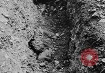 Standbild Arnstadt Konzentrationslager Espenfeld in der Nähe von Arnstadt Deutschland, 1945, aus Sekunde 55 historischem Filmmaterial Videoclip 65675060579