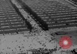 Standbild Konzentrationslager Dachau Dachau Deutschland, 1945, aus Sekunde 35 historischem Filmmaterial Videoclip 65675060583