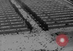 Standbild Konzentrationslager Dachau Dachau Deutschland, 1945, aus Sekunde 36 historischem Filmmaterial Videoclip 65675060583
