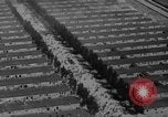 Standbild Konzentrationslager Dachau Dachau Deutschland, 1945, aus Sekunde 41 historischem Filmmaterial Videoclip 65675060583