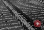 Standbild Konzentrationslager Dachau Dachau Deutschland, 1945, aus Sekunde 42 historischem Filmmaterial Videoclip 65675060583