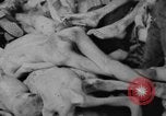 Image Camp de concentration de Dachau Dachau Allemagne, 1945, de la seconde 14 séquences d'archives historiques vidéo 65675060584
