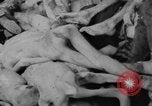 Image Camp de concentration de Dachau Dachau Allemagne, 1945, de la seconde 16 séquences d'archives historiques vidéo 65675060584