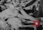 Image Camp de concentration de Dachau Dachau Allemagne, 1945, de la seconde 17 séquences d'archives historiques vidéo 65675060584