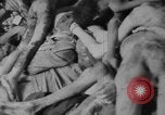 Image Camp de concentration de Dachau Dachau Allemagne, 1945, de la seconde 25 séquences d'archives historiques vidéo 65675060584