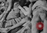Image Camp de concentration de Dachau Dachau Allemagne, 1945, de la seconde 29 séquences d'archives historiques vidéo 65675060584
