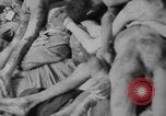 Image Camp de concentration de Dachau Dachau Allemagne, 1945, de la seconde 30 séquences d'archives historiques vidéo 65675060584