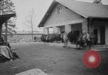 Image Camp de concentration de Dachau Dachau Allemagne, 1945, de la seconde 62 séquences d'archives historiques vidéo 65675060584