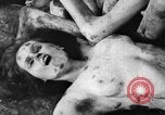 Image of Bergen-Belsen Concentration Camp Germany, 1945, second 49 stock footage video 65675060586