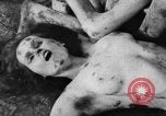 Image of Bergen-Belsen Concentration Camp Germany, 1945, second 53 stock footage video 65675060586