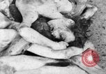 Image of Bergen-Belsen Concentration Camp Germany, 1945, second 55 stock footage video 65675060586