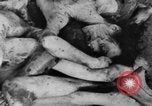 Image of Bergen-Belsen Concentration Camp Germany, 1945, second 56 stock footage video 65675060586
