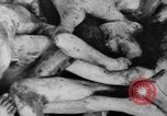 Image of Bergen-Belsen Concentration Camp Germany, 1945, second 58 stock footage video 65675060586