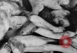Image of Bergen-Belsen Concentration Camp Germany, 1945, second 59 stock footage video 65675060586