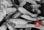 Image of Bergen-Belsen Concentration Camp Germany, 1945, second 60 stock footage video 65675060586