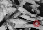 Image of Bergen-Belsen Concentration Camp Germany, 1945, second 61 stock footage video 65675060586