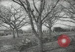 Image of African American Women's Army Corps Astoria New York USA, 1944, second 34 stock footage video 65675060605